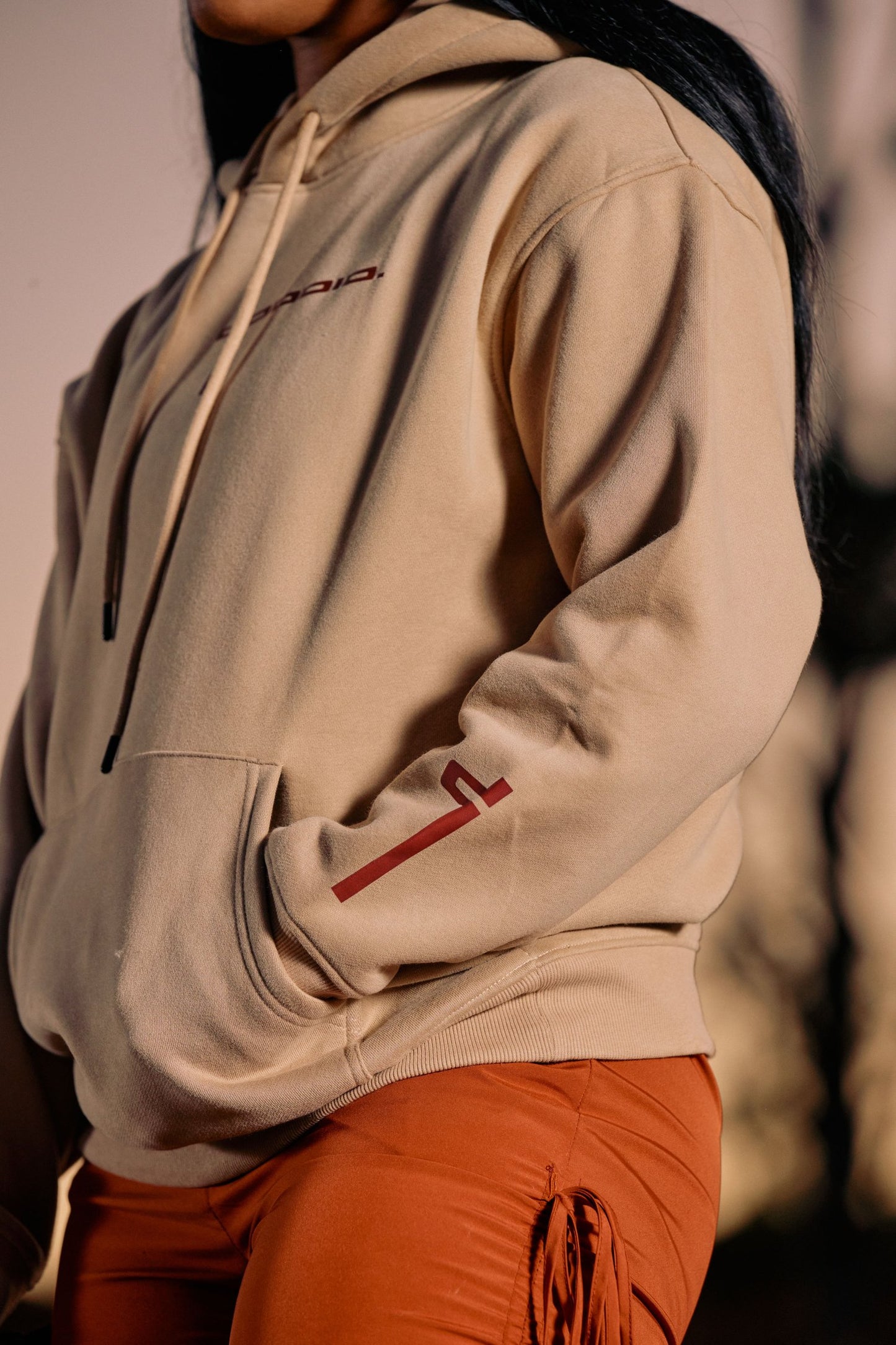 LIMITED GOD DID. HOODIE