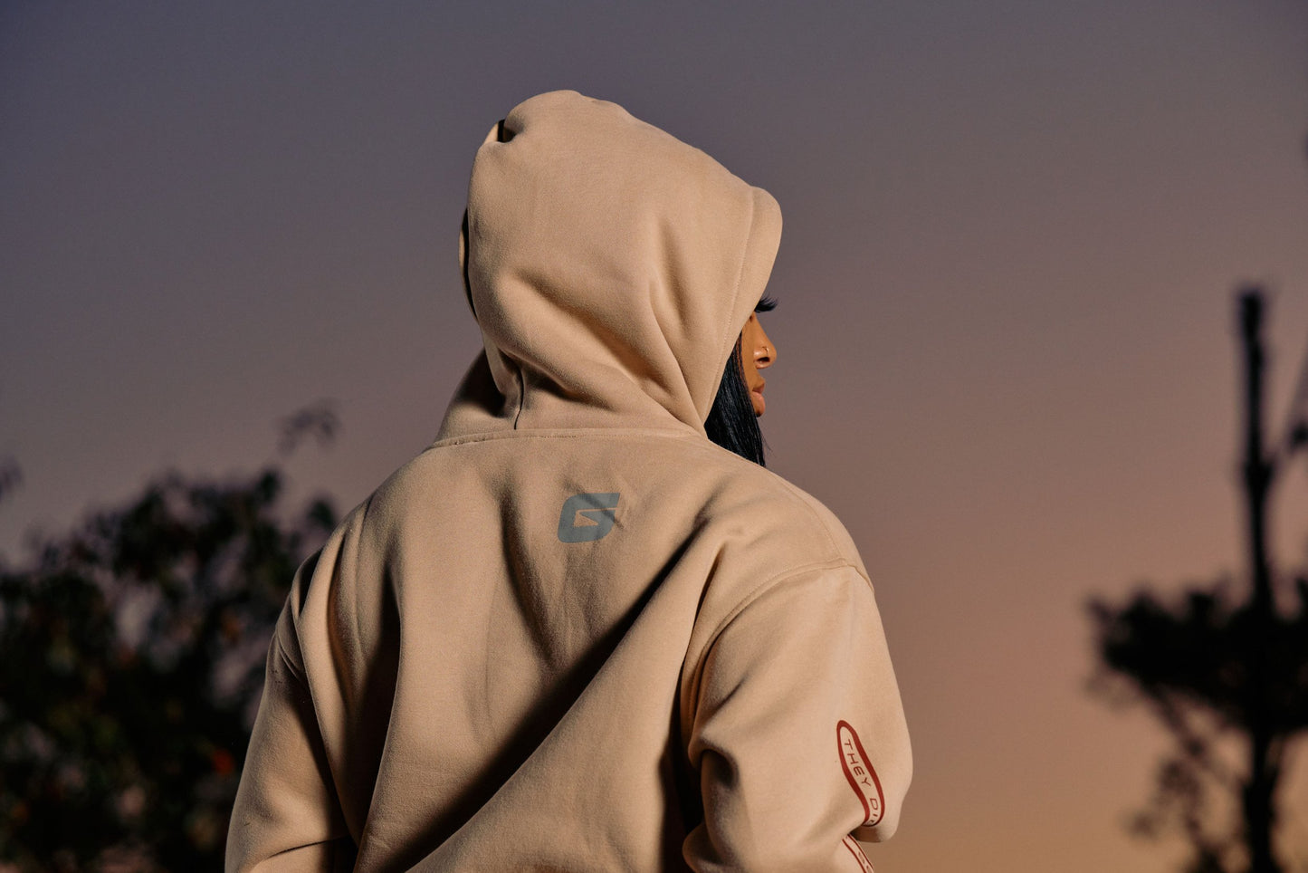 LIMITED GOD DID. HOODIE